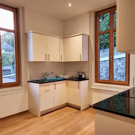 Traumwohnung Direkt Am Thunersee Apartment *